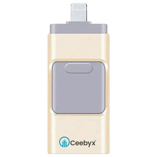 Ceebyx™ COMFMET Flash Drive